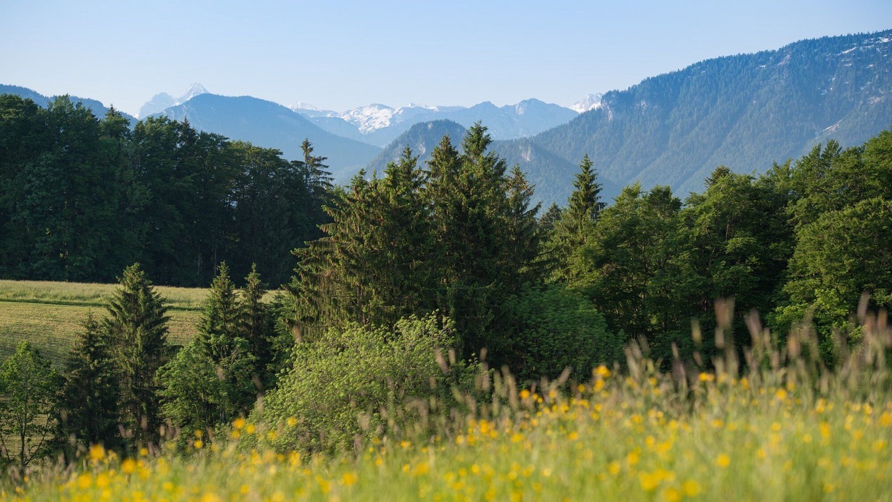 Photo of Others in Feichten