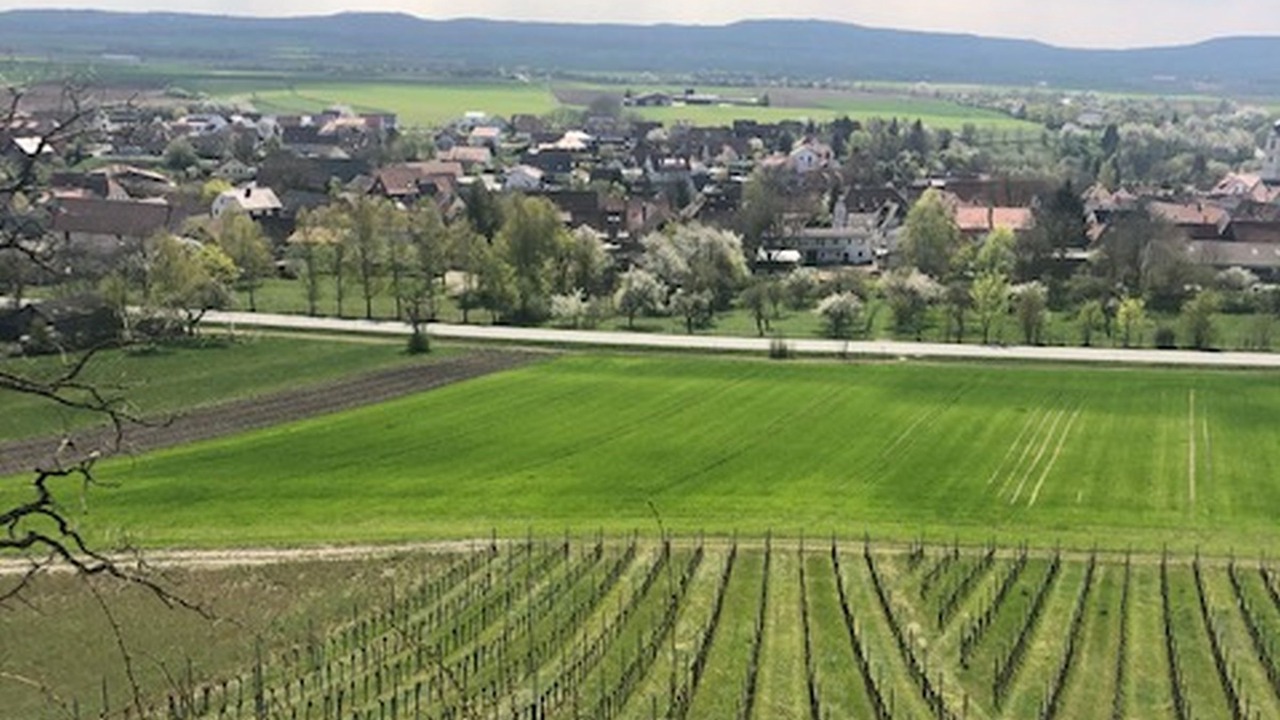 Photo of Outdoor in Markt Einersheim