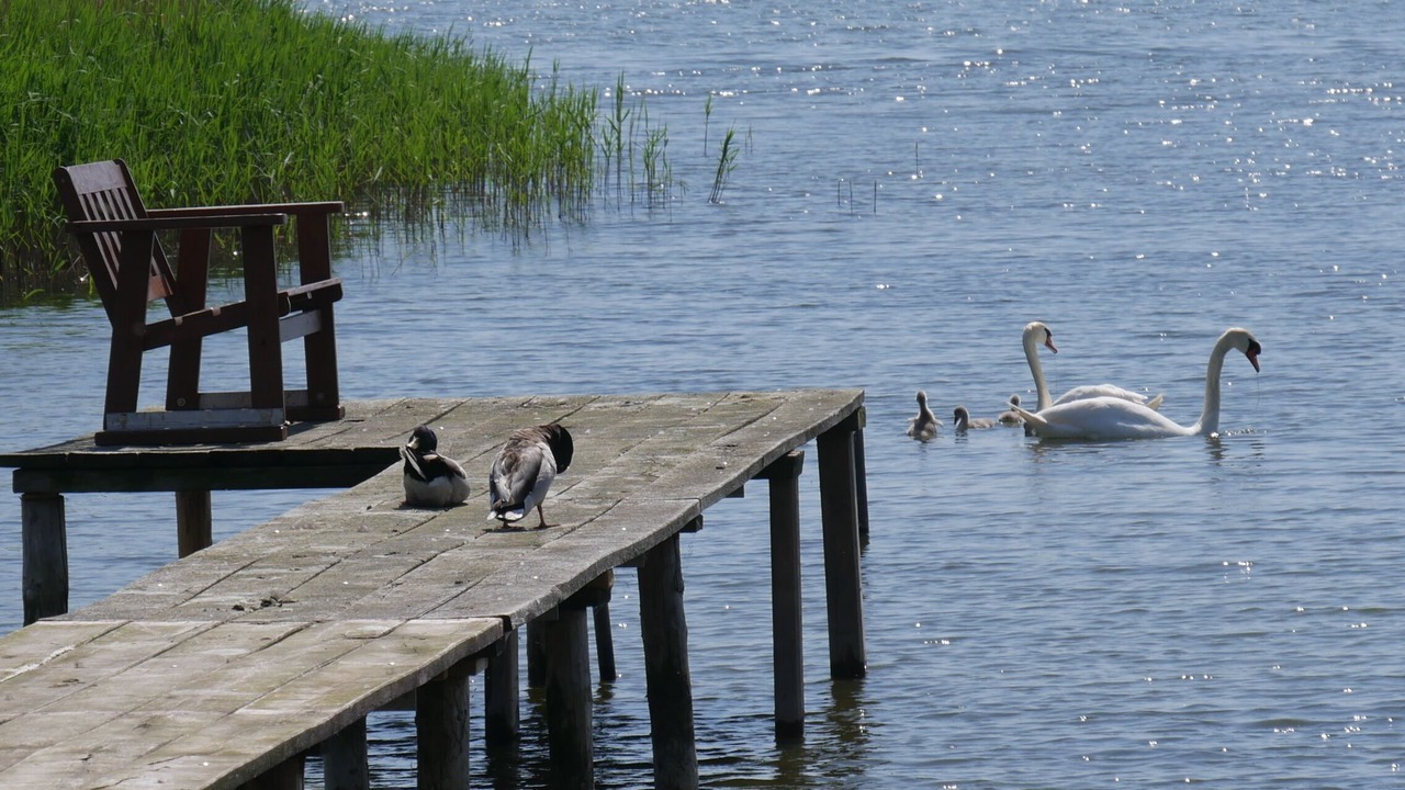 Photo of Others in Ostvorpommern