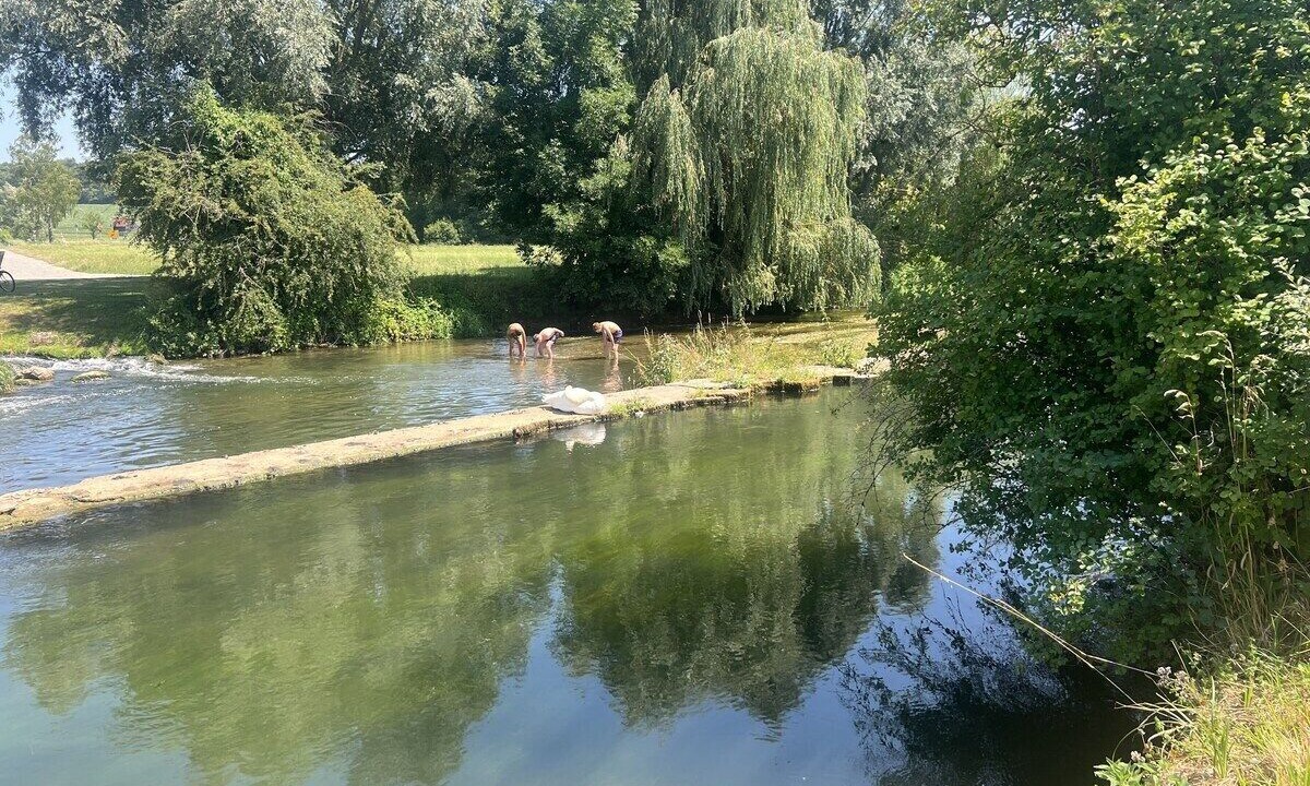 Photo of Others in Singen