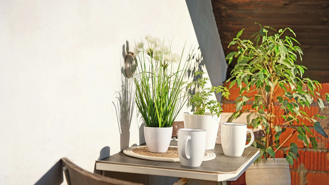 Photo of Outdoor in Perach