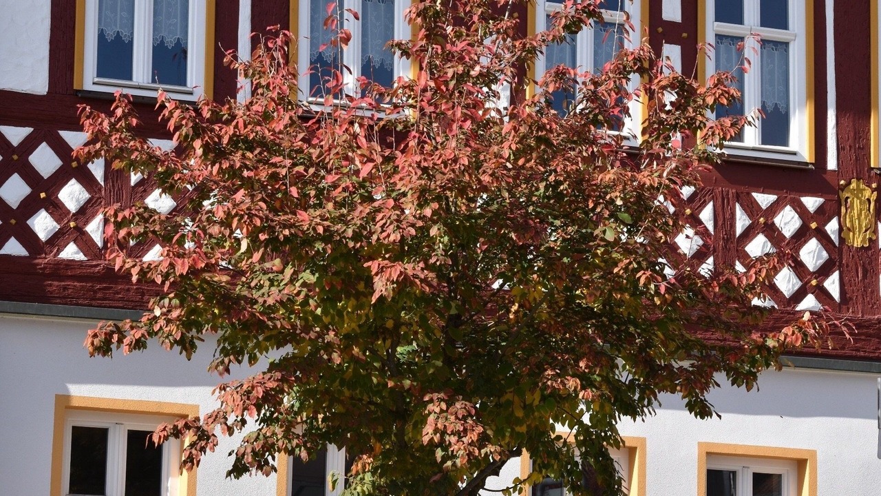 Photo of Outdoor in Bad Rodach