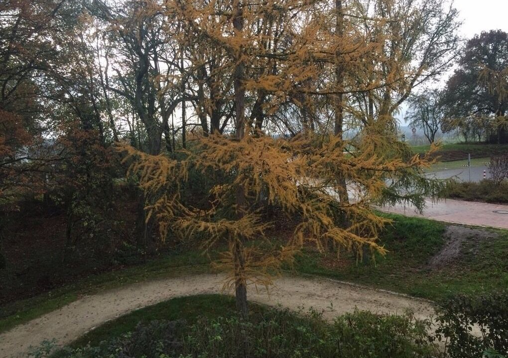 Photo of Outdoor in Bad Rodach
