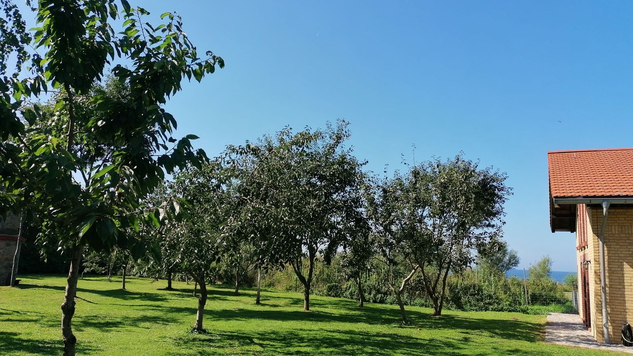 Photo of Outdoor in Meschendorf