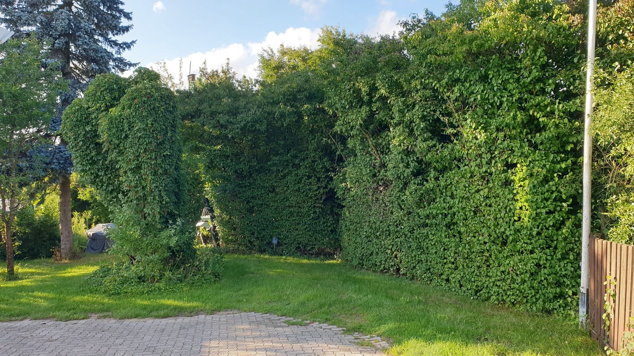 Photo of Outdoor in Winkelhaid