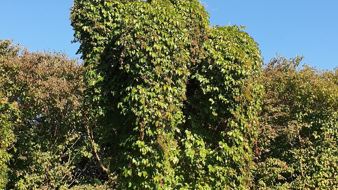 Photo of Outdoor in Winkelhaid