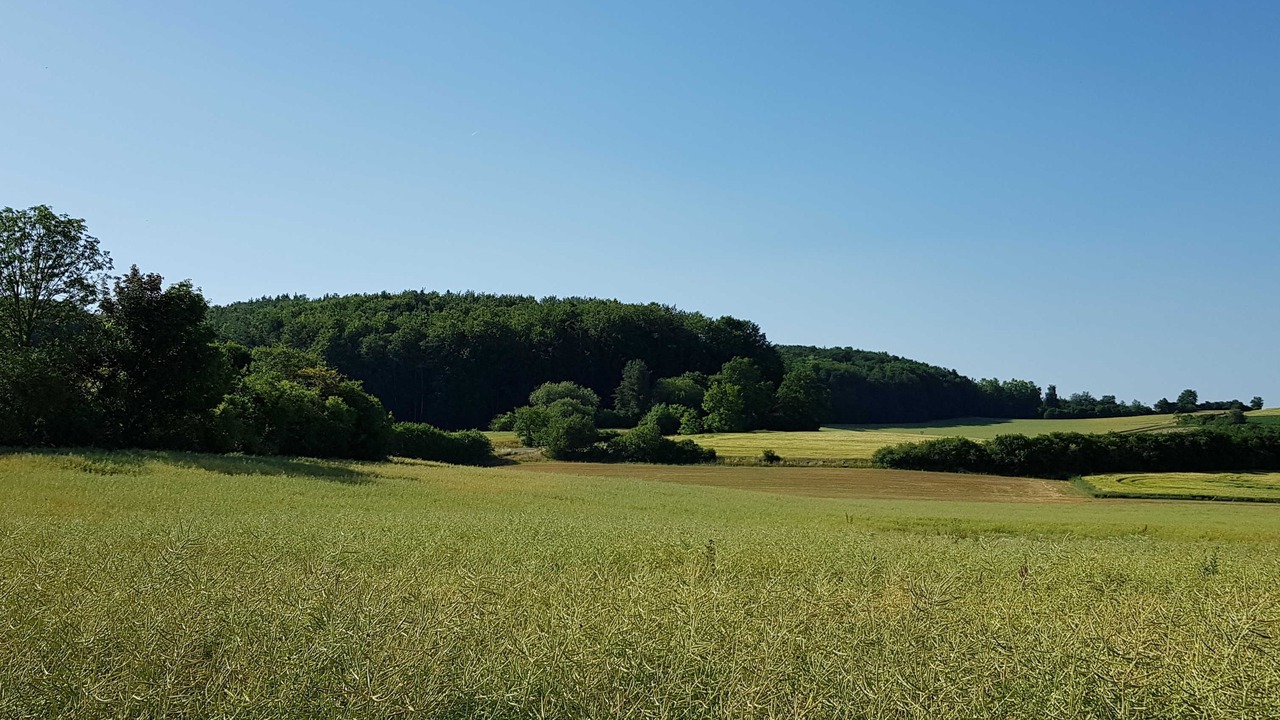 Photo of Others in Betzenstein