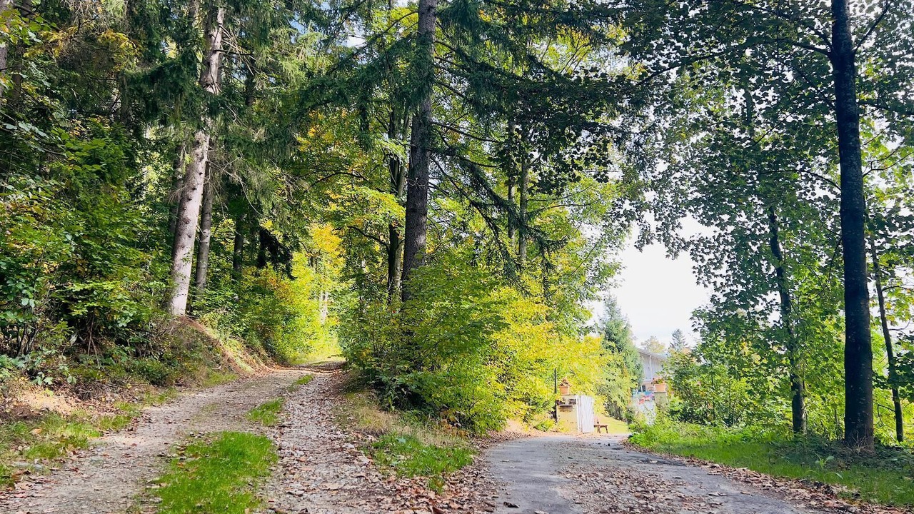 Photo of Outdoor in Zwiesel