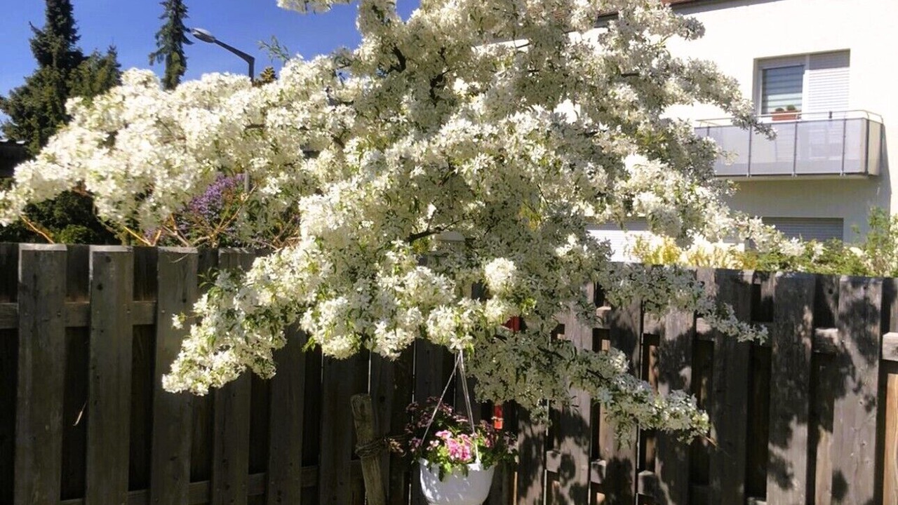 Photo of Outdoor in Fuerth