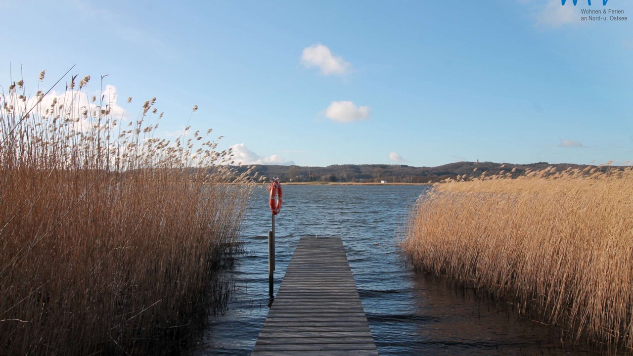 Photo of Others in Neuensien