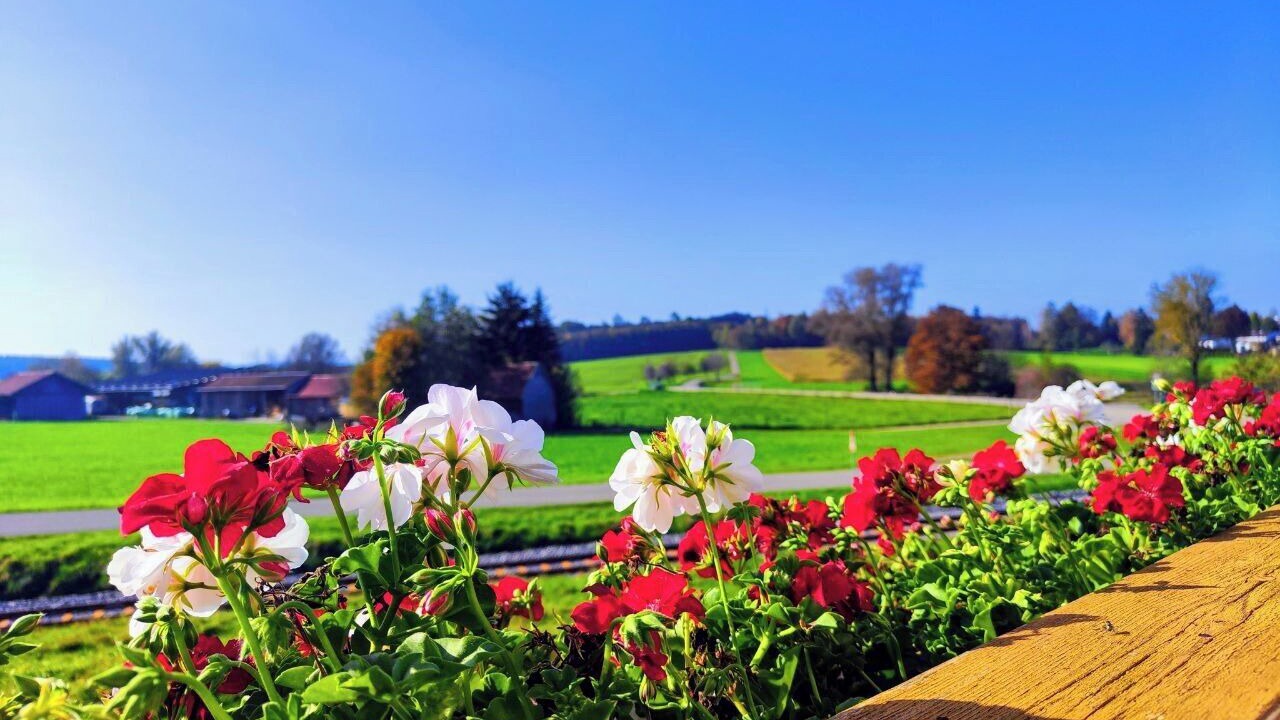 Photo of Outdoor in Unterallgau