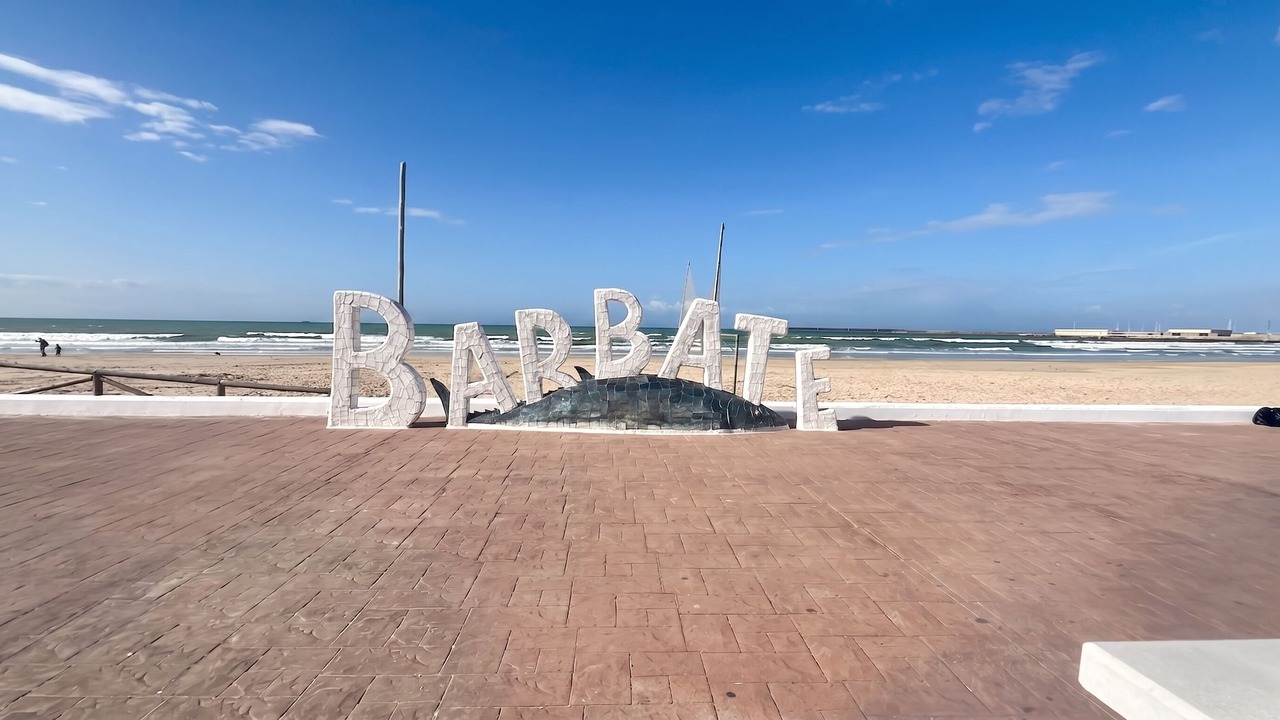 Photo of Others in Barbate
