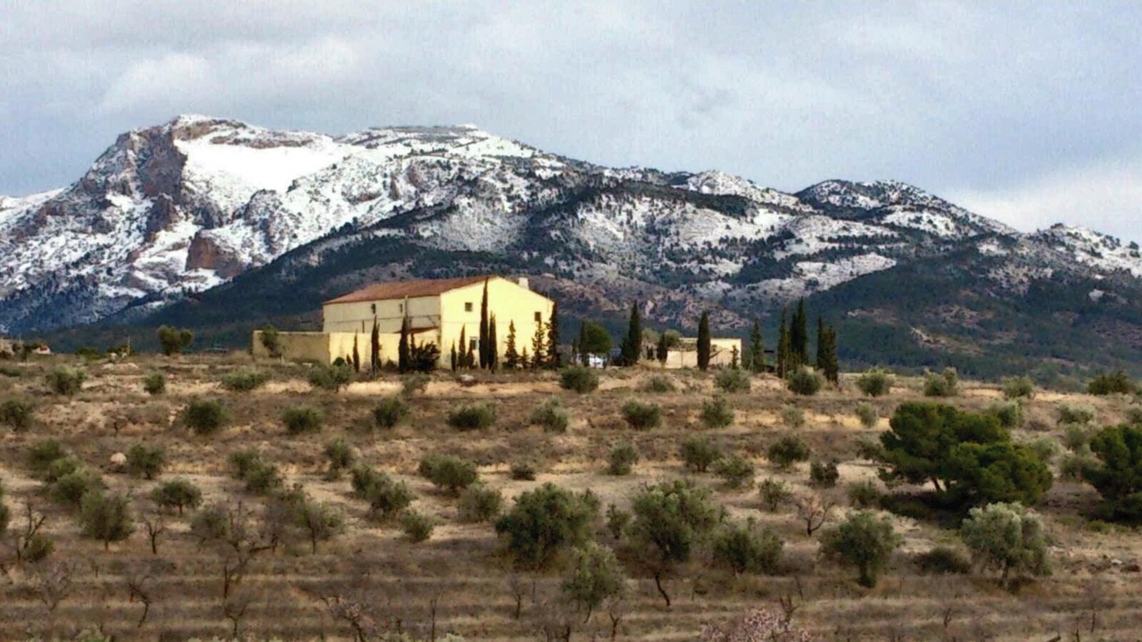 Photo of Others in Lorca