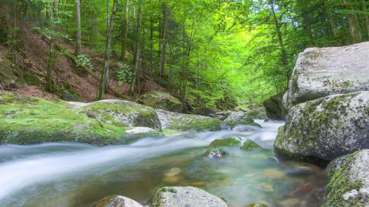 Photo of Outdoor in Freyung