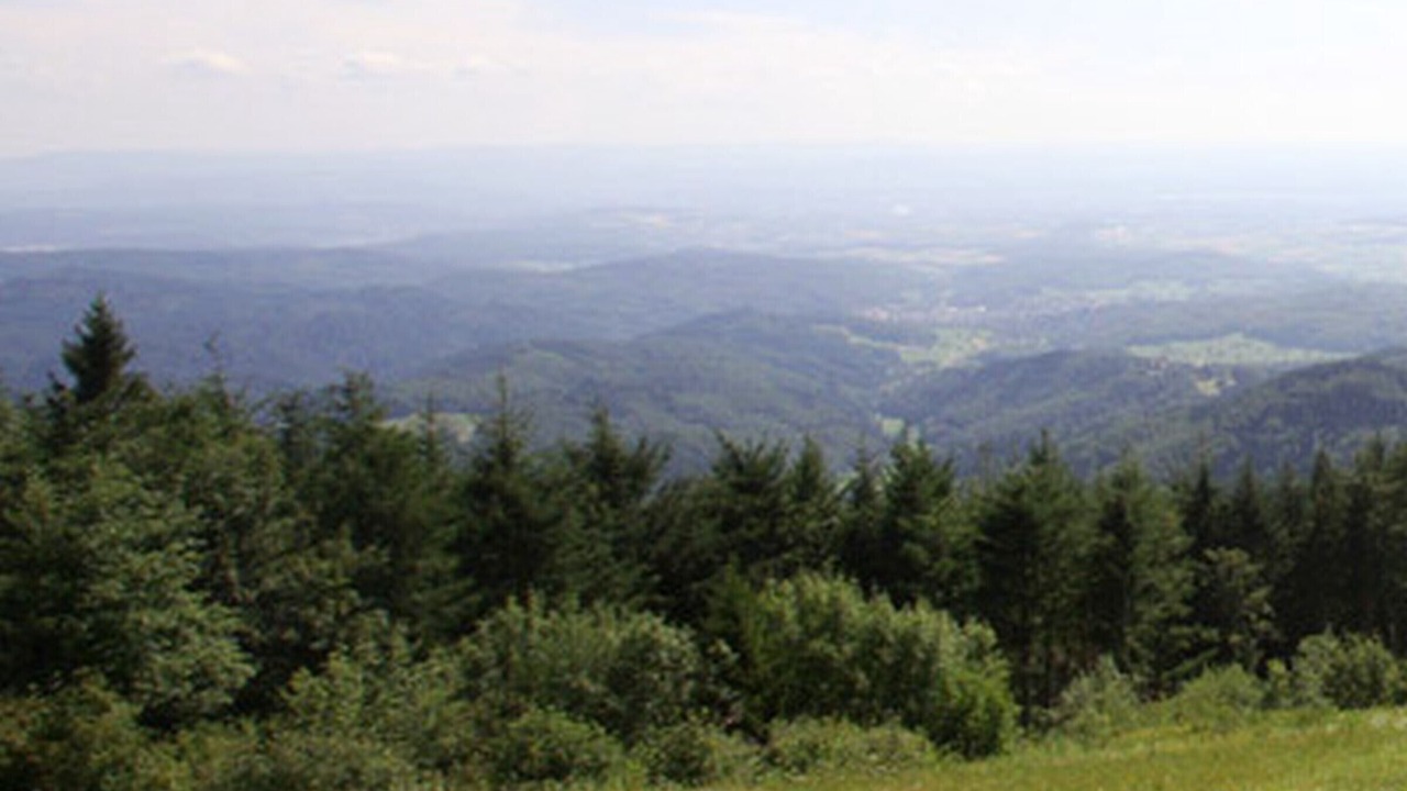 Photo of Others in Badenweiler