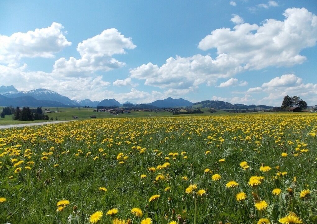 Photo of Outdoor in Schraden