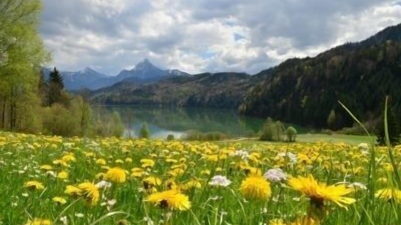 Photo of Outdoor in Schraden