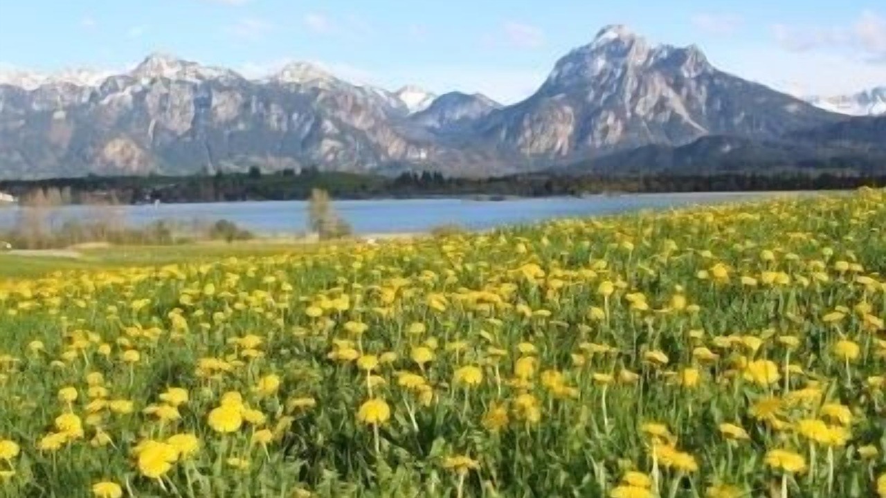 Photo of Outdoor in Schraden