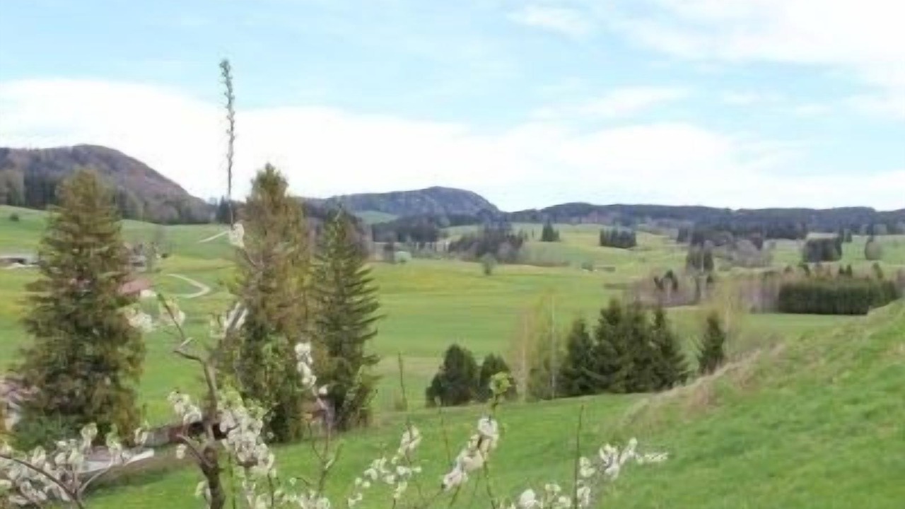 Photo of Others in Schraden