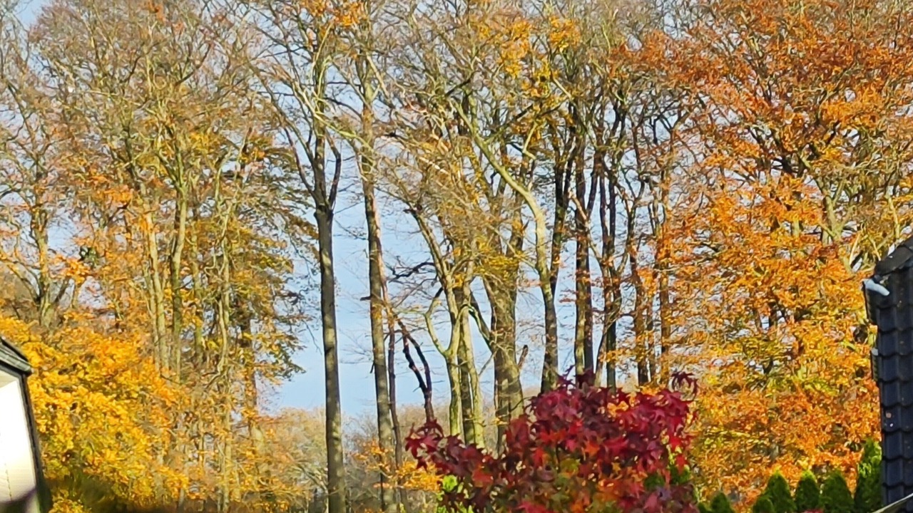 Photo of Others in Wersen