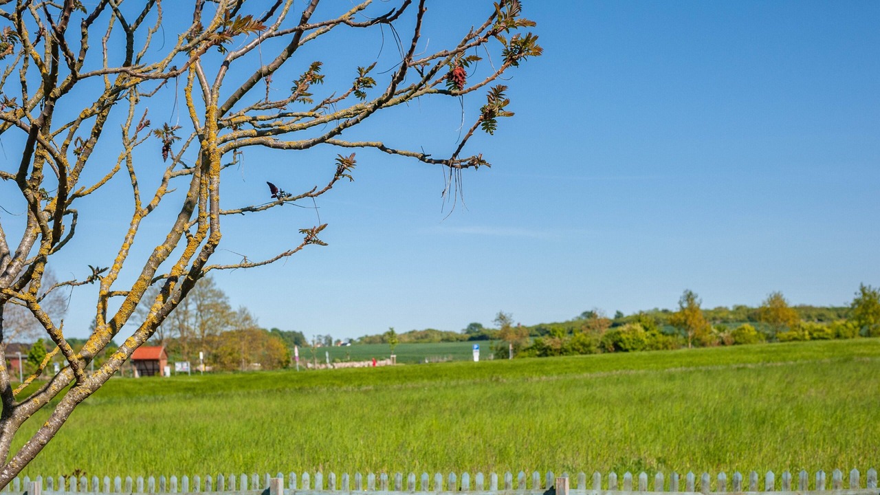 Photo of Outdoor in Meschendorf