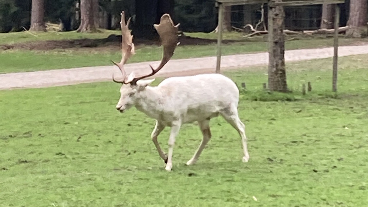 Photo of Others in Hartenstein