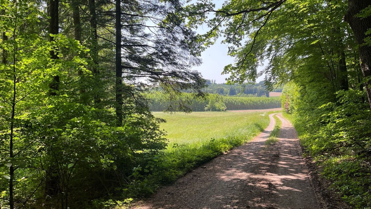 Photo of Others in Unterallgau
