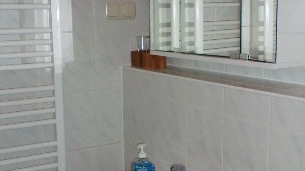 Photo of Bathroom in Prohlis