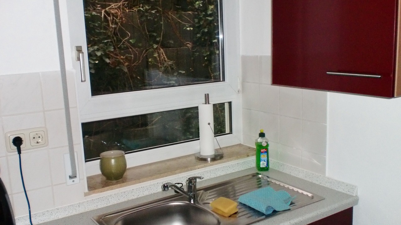 Photo of Kitchen in Prohlis