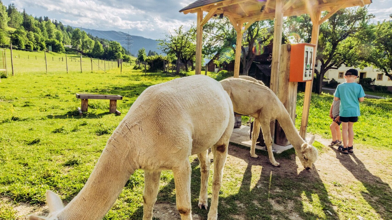 Photo of Others in Murau
