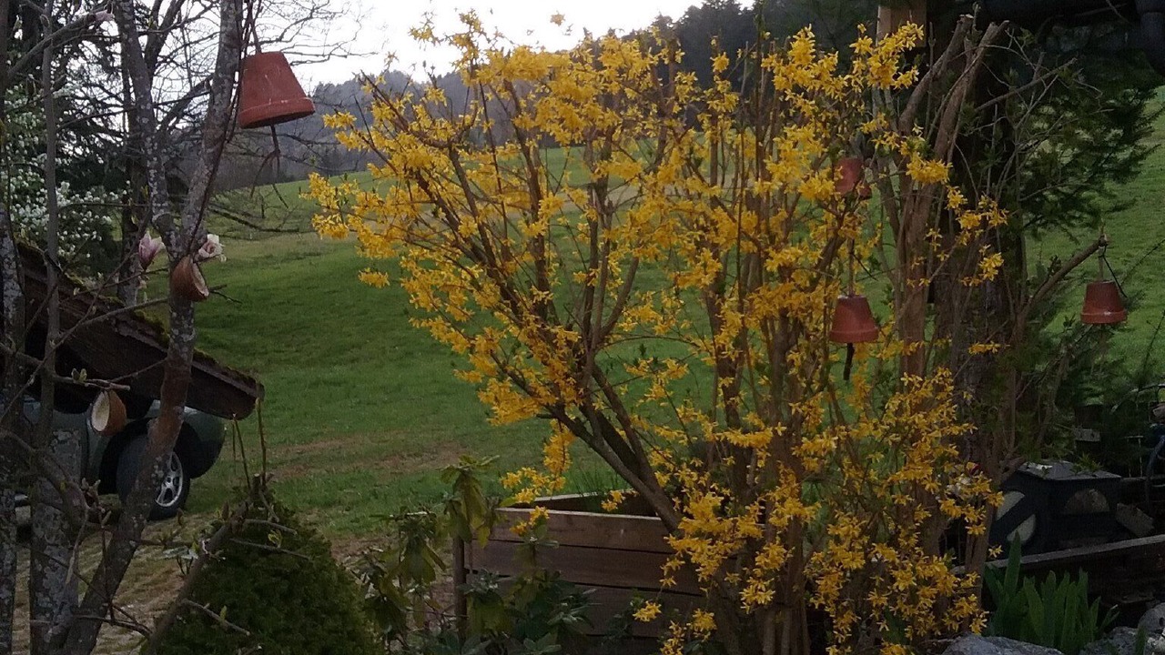 Photo of Outdoor in Weiler-Simmerberg