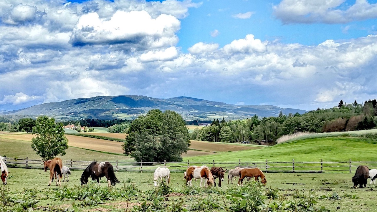 Photo of Outdoor in Hengersberg