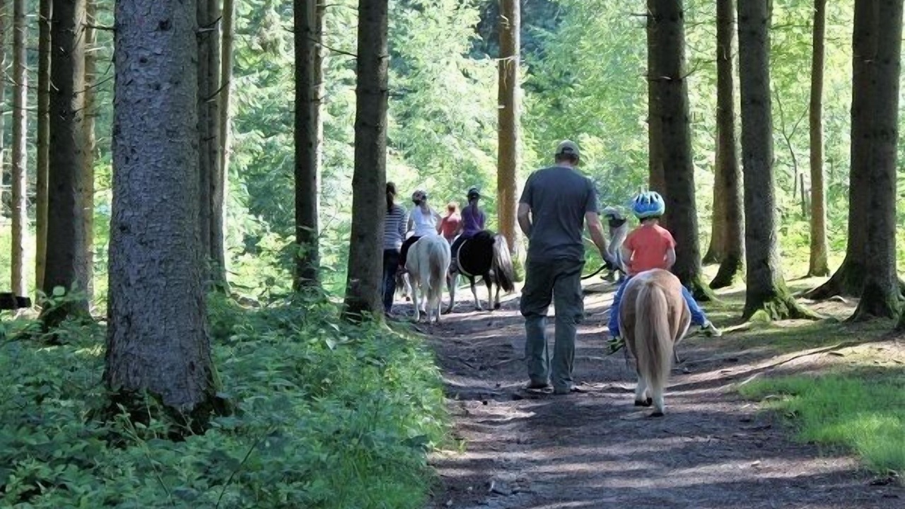 Photo of Outdoor in Hengersberg
