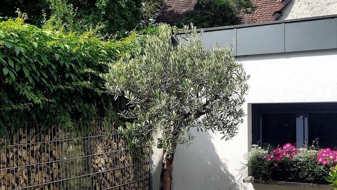 Photo of Outdoor in Wilhermsdorf