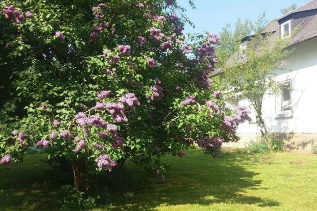 Photo of Outdoor in Oberkotzau