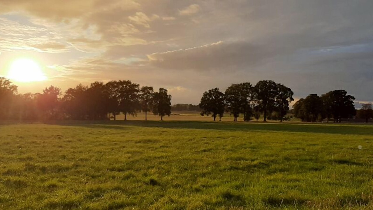 Photo of Others in Westerkappeln