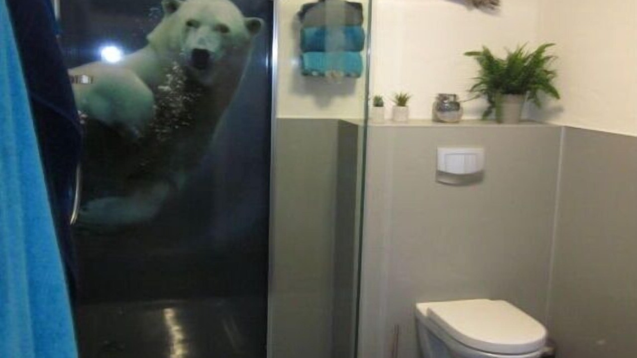 Photo of Bathroom in Assinghausen
