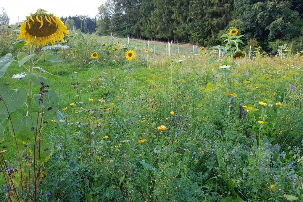 Photo of Outdoor in Ottenzell