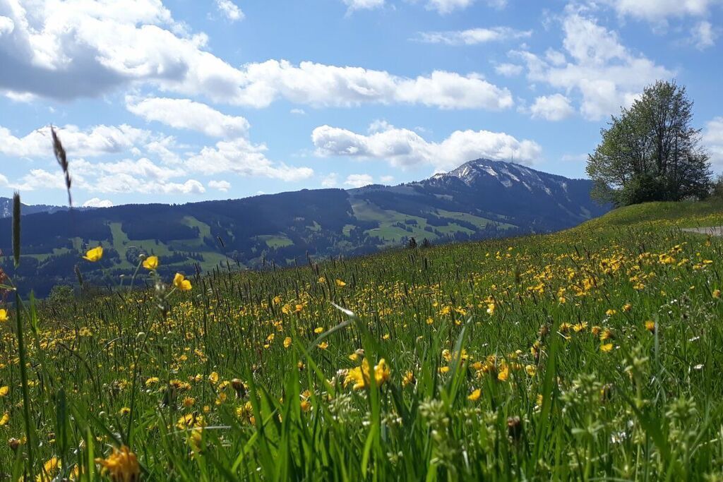 Photo of Outdoor in Rettenberg