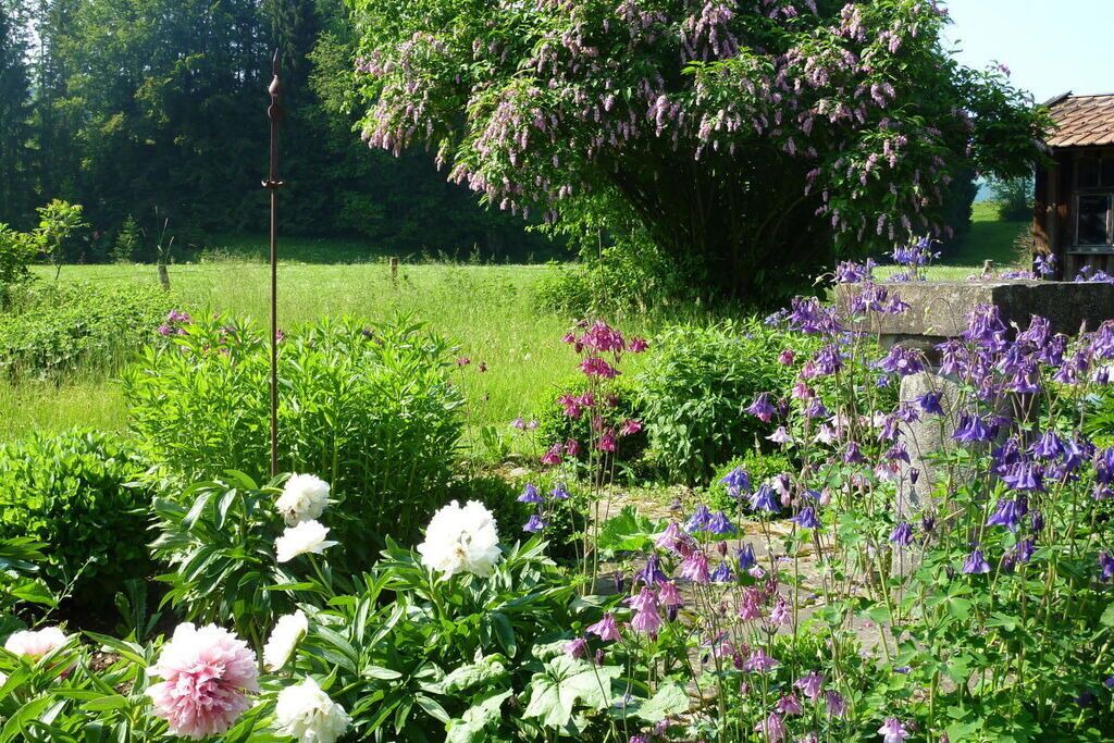 Photo of Outdoor in Rettenberg