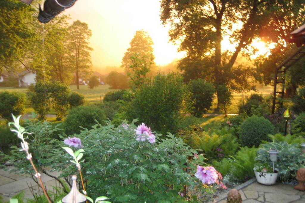 Photo of Outdoor in Anger