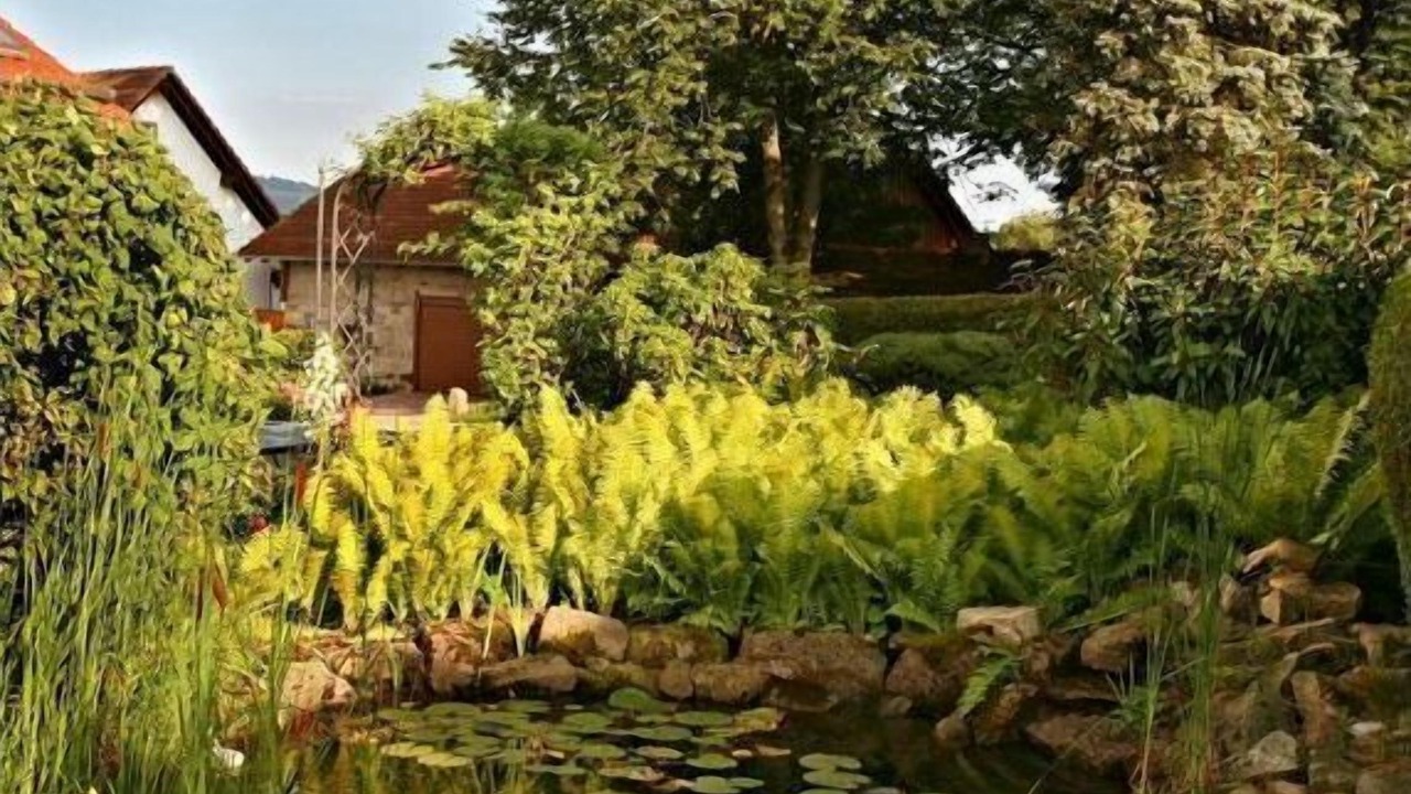 Photo of Outdoor in Motten