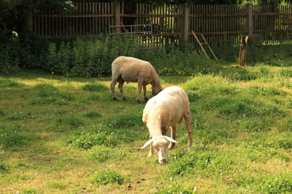 Photo of Others in Himmelkron