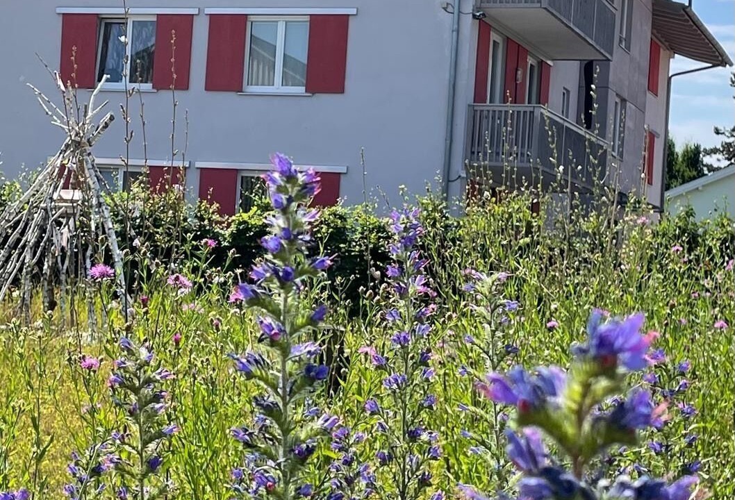 Photo of Outdoor in Bad Aibling