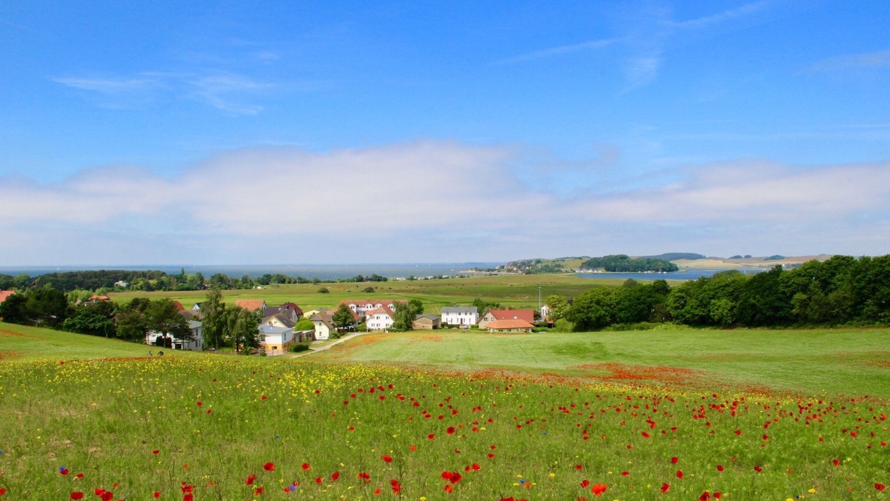 Photo of Outdoor in Thiessow
