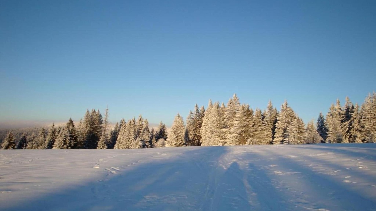 Photo of Others in Beilngries