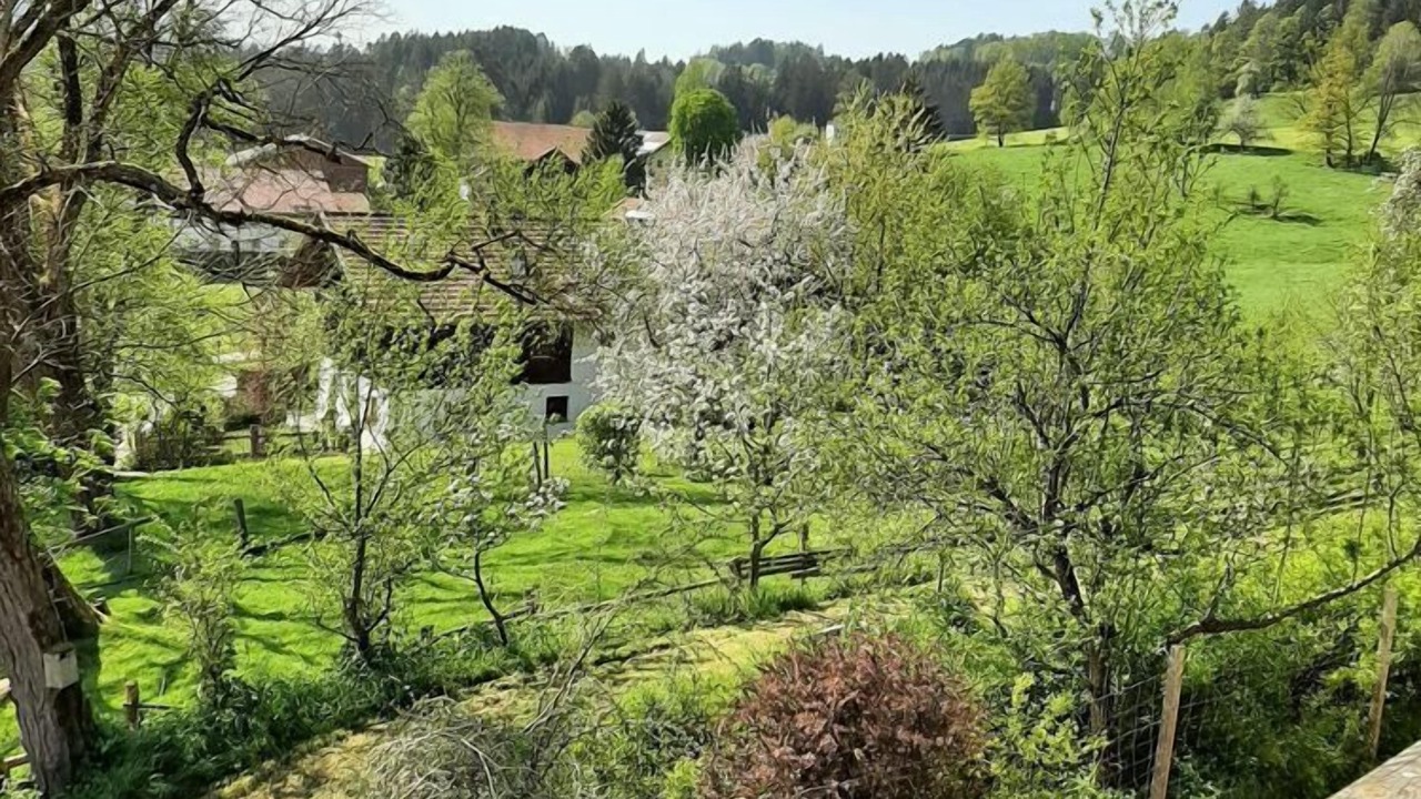 Photo of Others in Viechtach