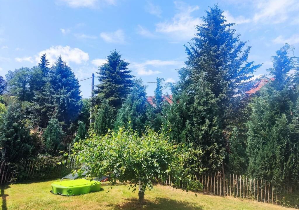 Photo of Outdoor in Bad Gottleuba-Berggiesshuebel