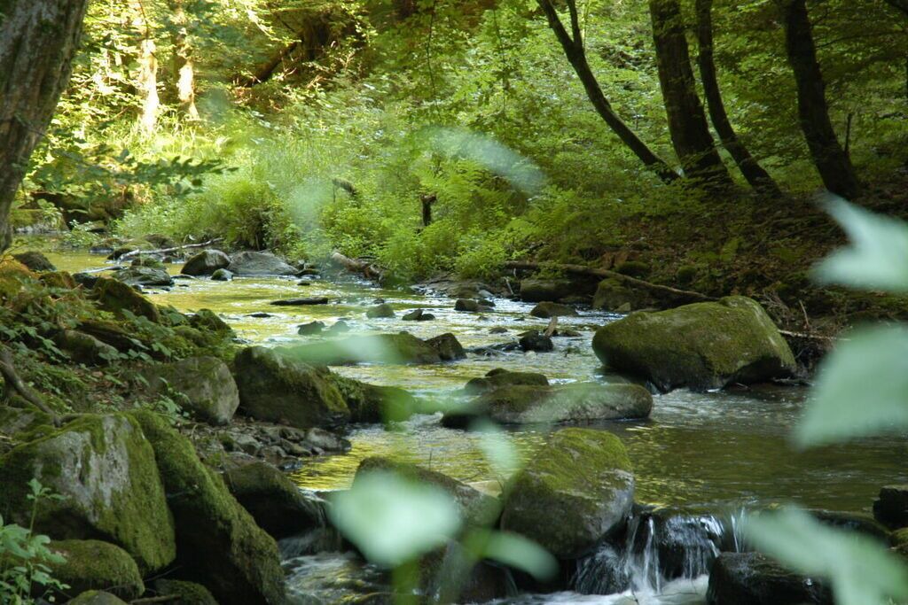 Photo of Outdoor in Brennberg
