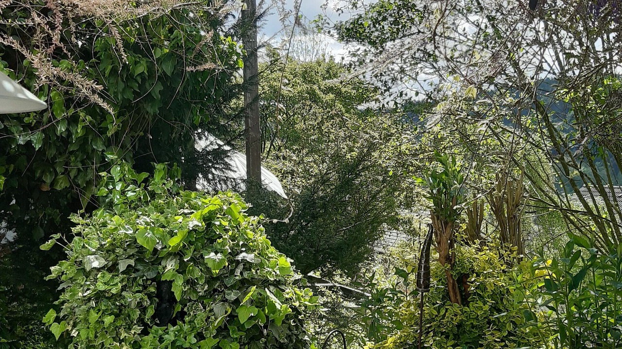 Photo of Outdoor in Momlingen